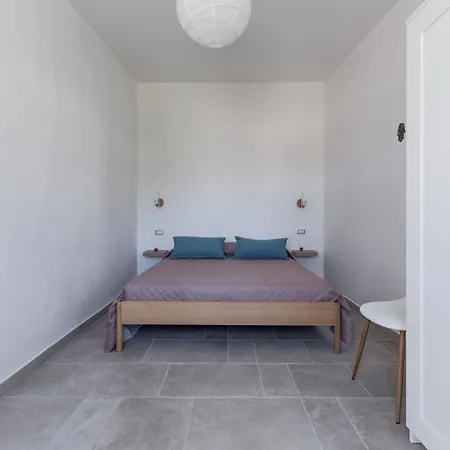 A V L By Barbarhouse Pulsano