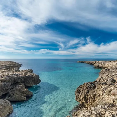 A V L By Barbarhouse * Pulsano